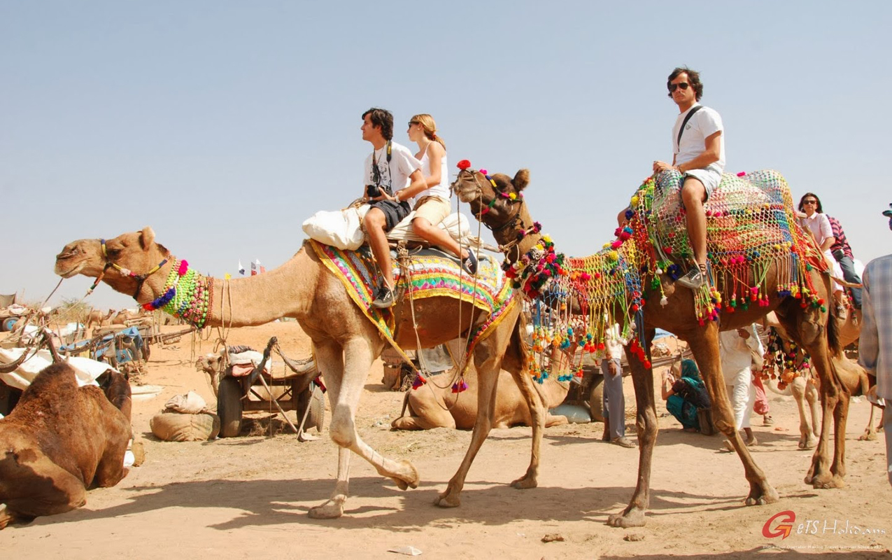 Golden Triangle Tour Packages with Pushkar